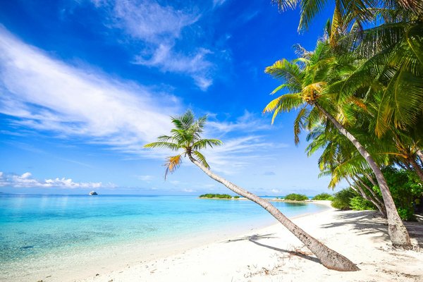 Top 5 services de chauffeur privé à cannes pour un voyage relaxant